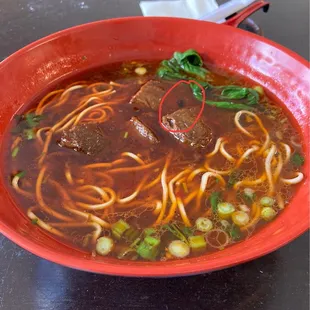 Beef noodle with fly