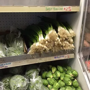 More vegetables - very fresh