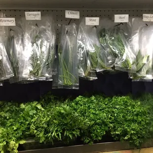 Herbs