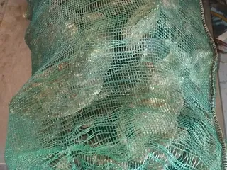 Capt Jonathan's Seafood