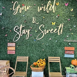 a display of pumpkins and sunflowers