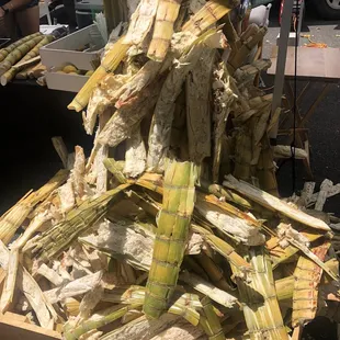 a pile of corn