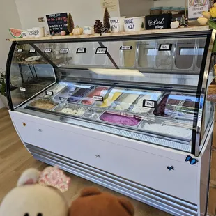 Gelato and sorbet in the display case