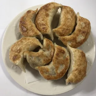 Fried Dumplings