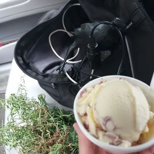 Raspberry swirl and some other things I picked up this afternoon (fresh tarragon from a friend's garden and a lamp shaped like a raven)