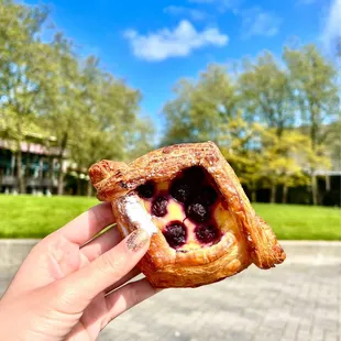 fruit danish ($5)