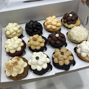 1 Dozen Regular Cupcakes