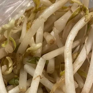 P5. Pho Chay - these are the sprouts given with dish, they were not fresh at all.