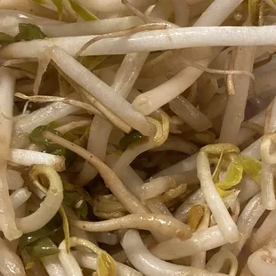 P5. Pho Chay - these are the sprouts given with dish, they were not fresh at all.