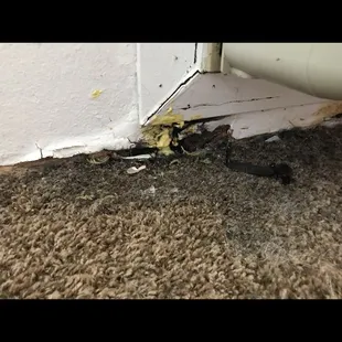 Sugar Creek Apartments