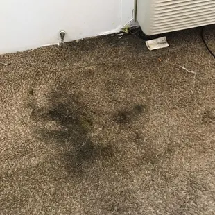 Mold I didn&apos;t know was growing until I moved out