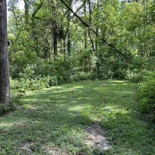 Backyard has a tent area too