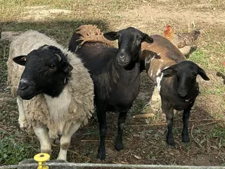 The Queen & I Bed and Breakfast