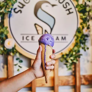 Ube, or Taro, flavored ice cream.