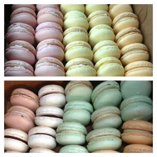 a variety of colorful macarons