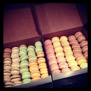 a box of macarons