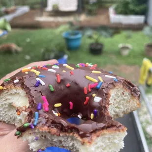 French Chocolate Glazed Donut