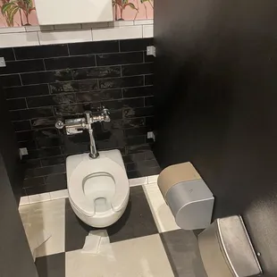 No toilet paper or toilet seat covers...