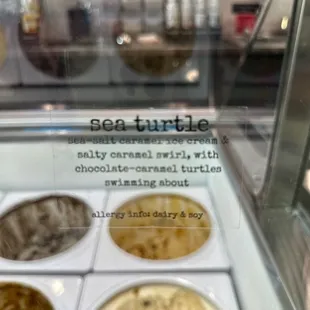 Sea turtle Ice cream