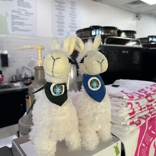 Llama mascot but of course