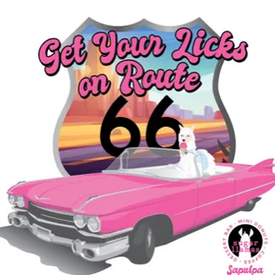 a pink car with a white dog in it