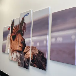 Decor