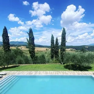 a swimming pool surrounded by olive trees