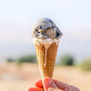 Black sesame brittle and vanilla pistachio crunch