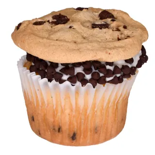 Chocolate Chip