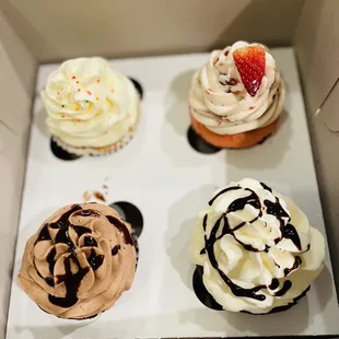 Chocolate Mocha Cupcake Chocolate Caramel Cupcake Strawberry and Strawberry Cupcake Vanilla-Vanilla Cupcake