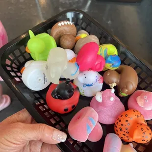 Ducks for your visit