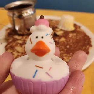  hand holding a rubber duck