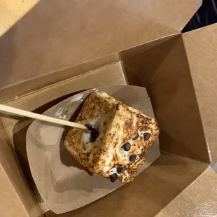 Frozen S'more!  Toasted gooey marshmallow stuffed with ice cream!