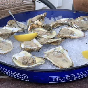 Raw Oysters