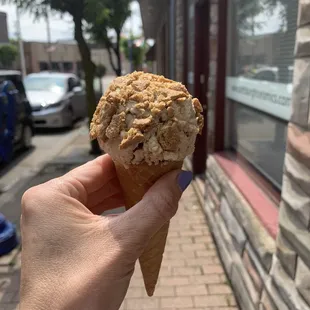 Peanut butter ice cream was sooooo delish.