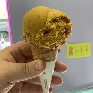 Pumpkin Ginger Snickerdoodle