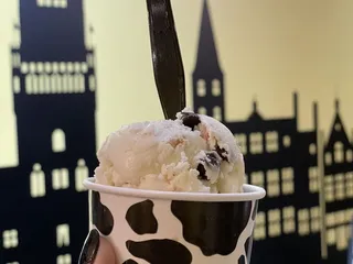 Treat - Ice Cream and Liege Waffles