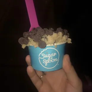 Single Scoop Chocolate Chip