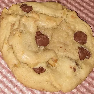 Sugar Sweet Blessings Chocolate Chip Walnut Cookie, must try!
