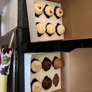 Assorted Cupcakes