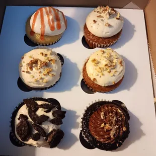 Daily Dozen Cupcake Assortment