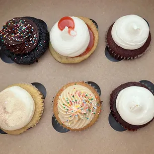 Chocolate, cherry cheese cake, red velvet, snickerdoodle, and vanilla cupcakes