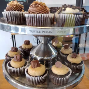 Snickers, turtle truffle &amp; Oreo...today&apos;s options