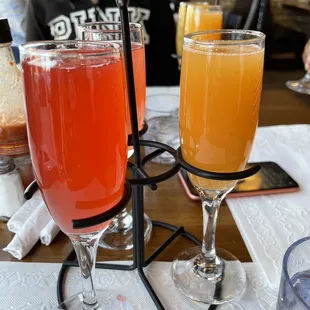 Mimosa flight