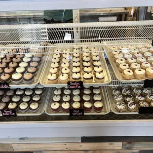 a variety of cupcakes in a display case