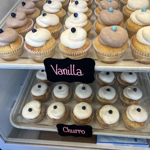 vanilla and blueberry cupcakes