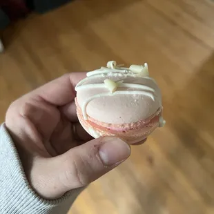 a hand holding a macaron