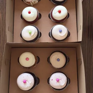 Cupcakes in bulk!