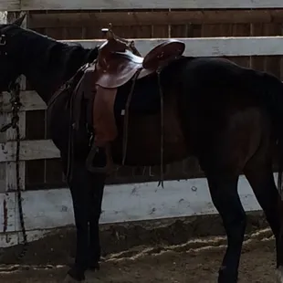 Hopefully this is my ride....