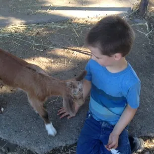 Kids at Sugarland Horse Park